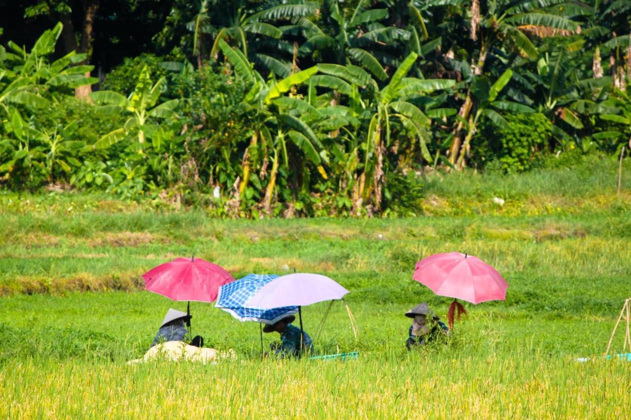 Starlight Boutique Hotel Quang Ninh  Exteriör bild